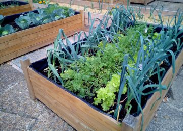 Barcelona se convierte en campo este fin de semana