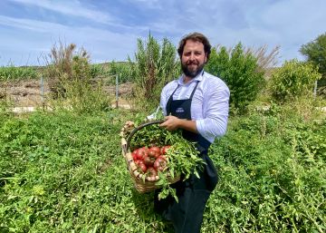 Los sabores perdidos del tomate