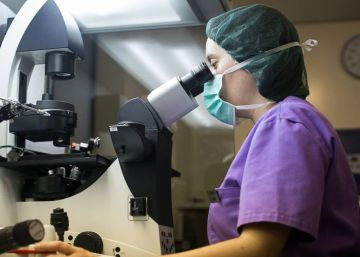 Reproducción asistida pública en España: ¿tarde, mal o nunca?