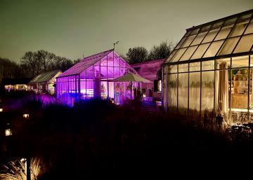La naturaleza y los códigos del restaurante Noma