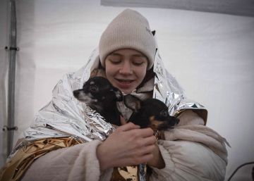Las mascotas también huyen de la guerra de Ucrania
