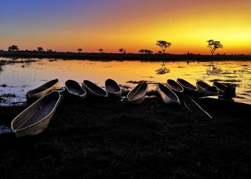 Una noche en el Okavango