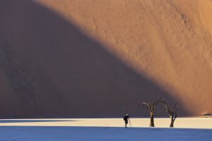 Árboles petrificados en Deadvlei, en el desierto de Namib.