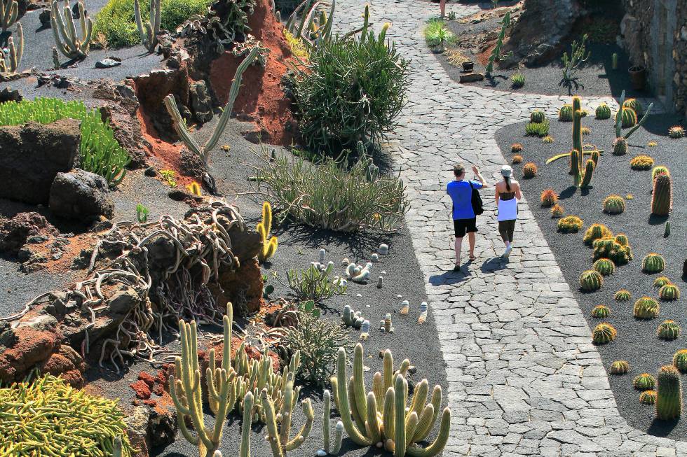 Cactus sobre negro volcánico en Lanzarote | El Viajero | EL PAÍS