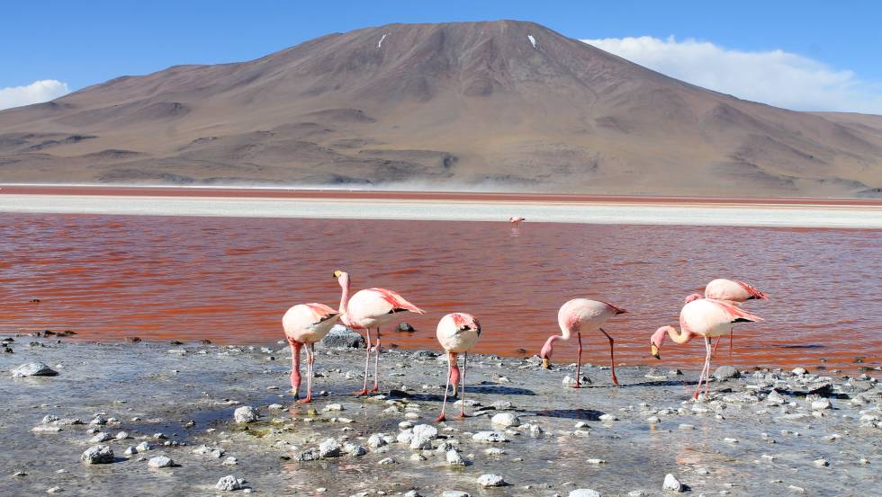 Los Mejores Viajes De Aventura Para 2018 Miradas Del Sur - watch clip roblox server raids bans with flamingo prime