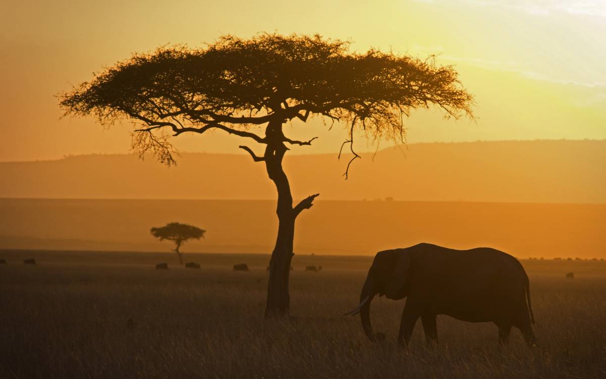 Nuevas aventuras para una Semana Santa viajera