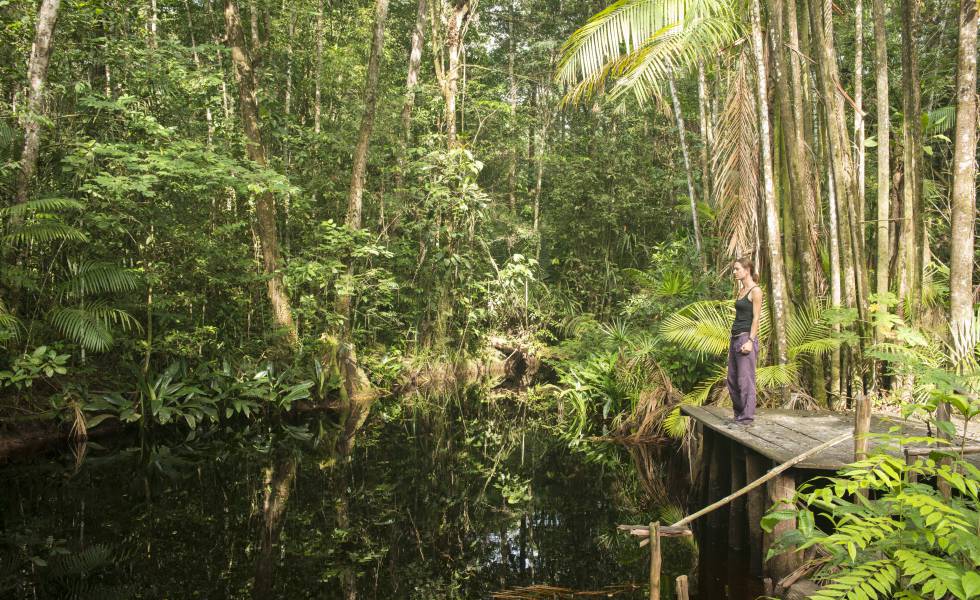 Una turista en la espesura selvática de Surinam, cerca de Paramaribo, capital del país sudamericano.