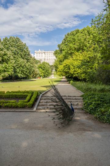 Los jardines del Campo del Moro, a los pies del Palacio Real de Madrid.