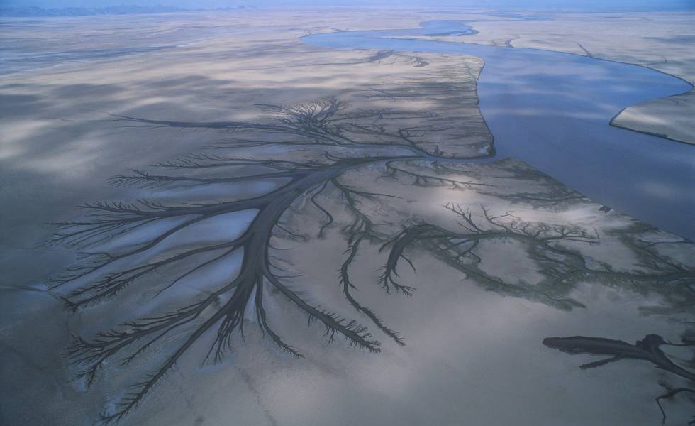 O delta do rio Colorado, na reserva da biosfera do Alto Golfo de California (México).