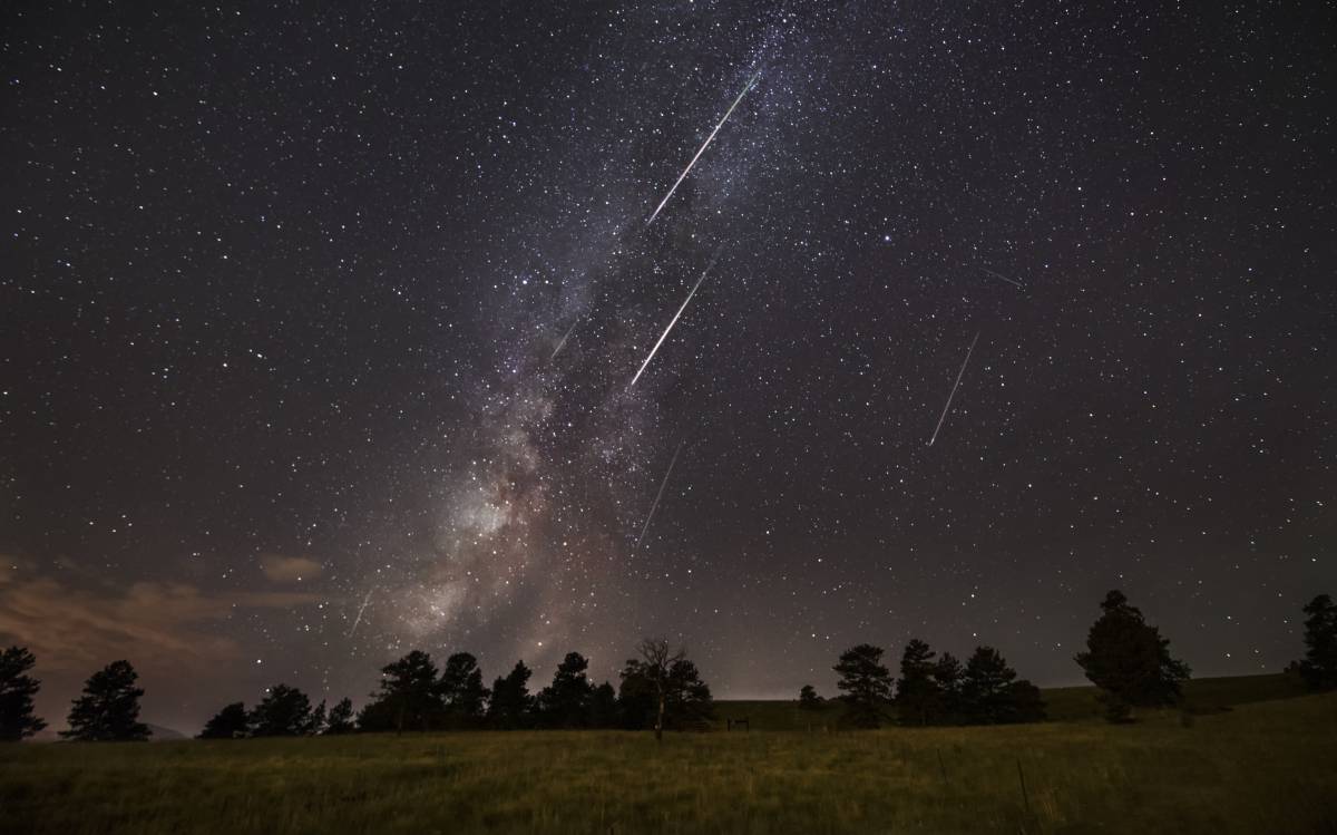 Noticias sobre Lluvia estrellas EL PAÍS