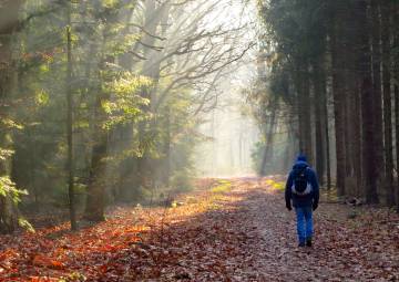 La ruta senderista Pieterpad, a su paso por la región de Drenthe.