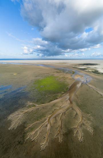 Curiosas formaciones de arena en el parque nacional de la isla de Schiermonnikoog, en la región de Frisia.