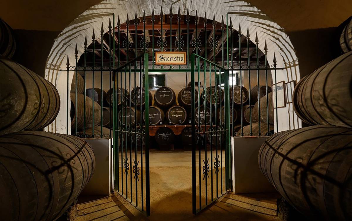 Irse de vinos, en casa