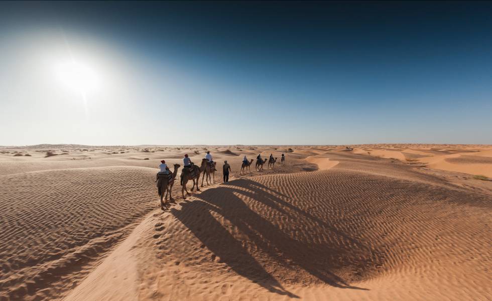 Ruta en camello hacia las ruinas de un fuerte romano en Ksar Ghilane, en el Sáhara de Túnez.