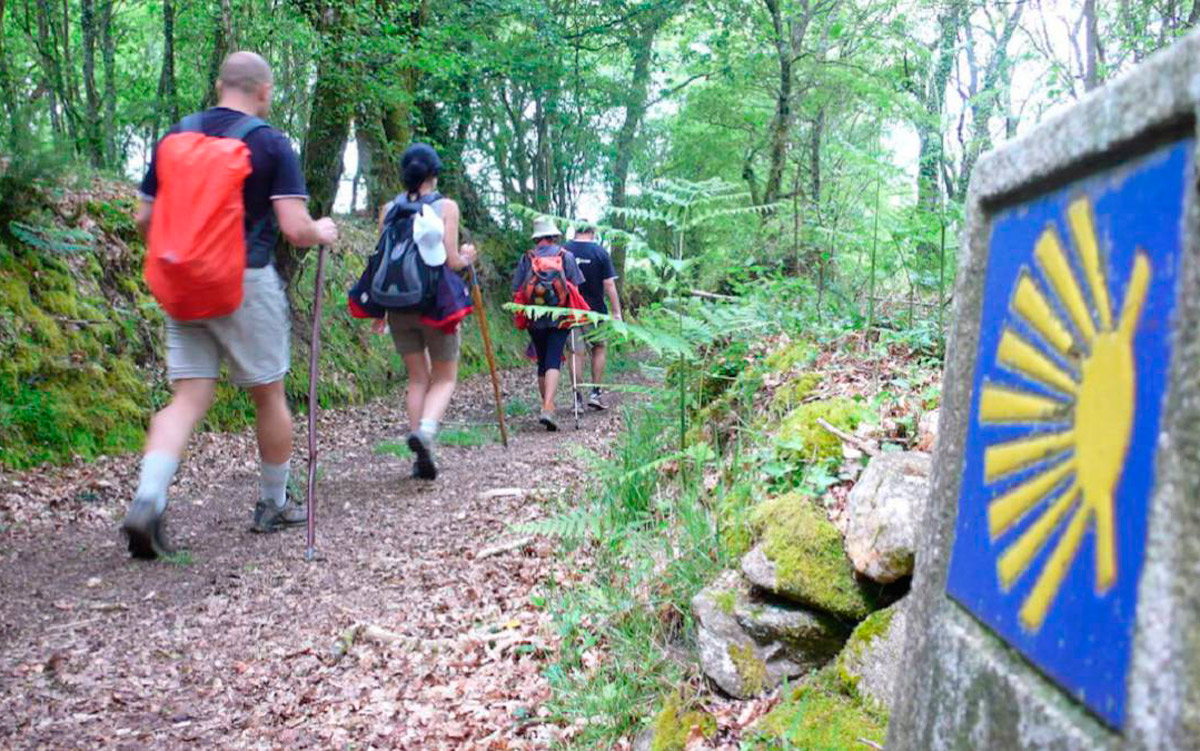 El Camino de Santiago mágico con Fran Contreras