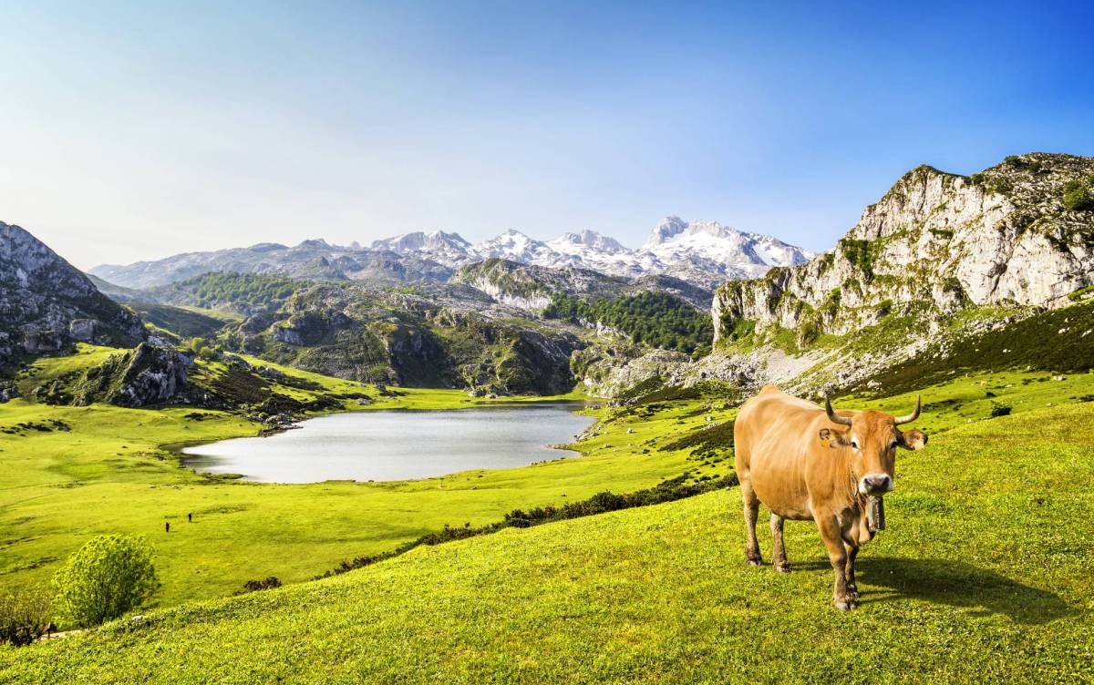 15 razones para volver a Asturias