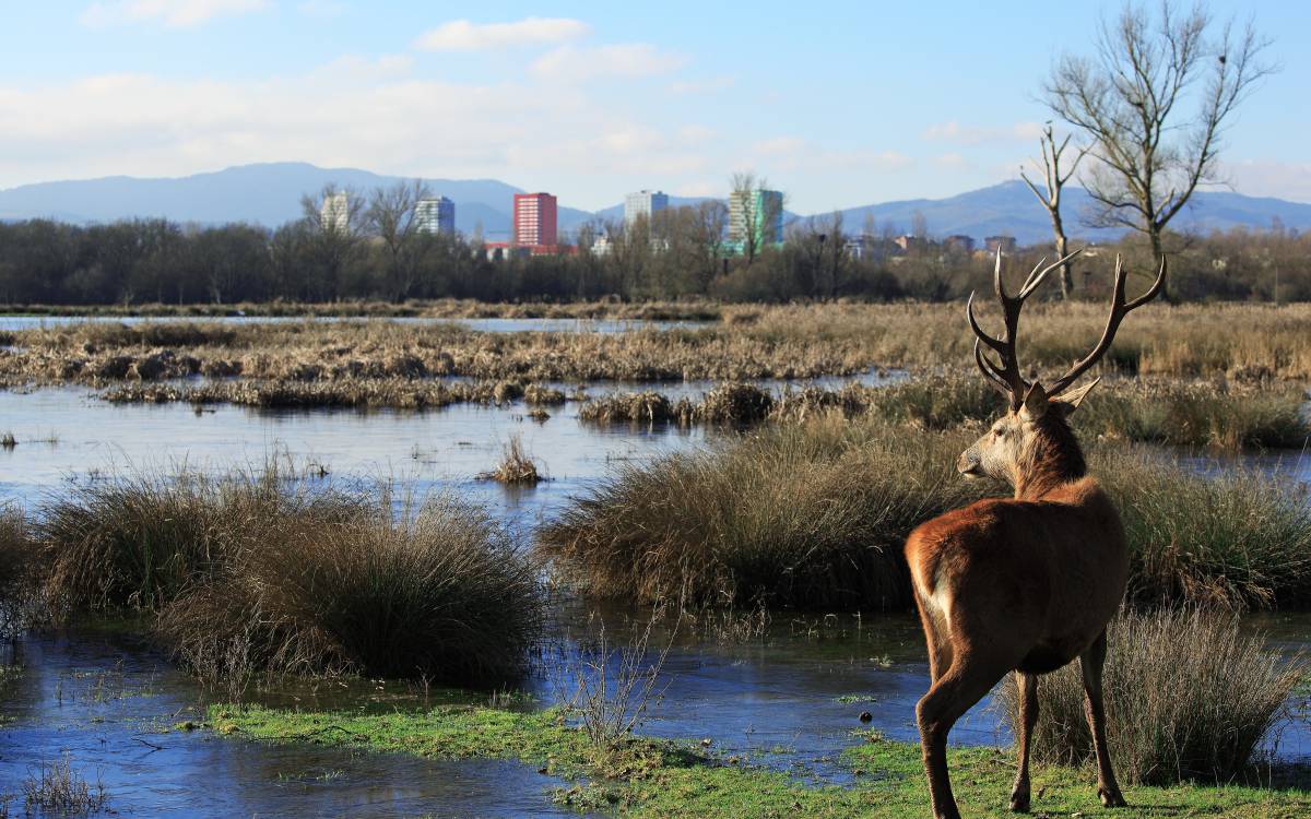 El momento de los parques: baños de sol y primavera