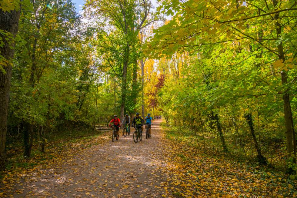 Un grupo de ciclistas en una pista forestal en la localidad serrana de Rascafría (Madrid).