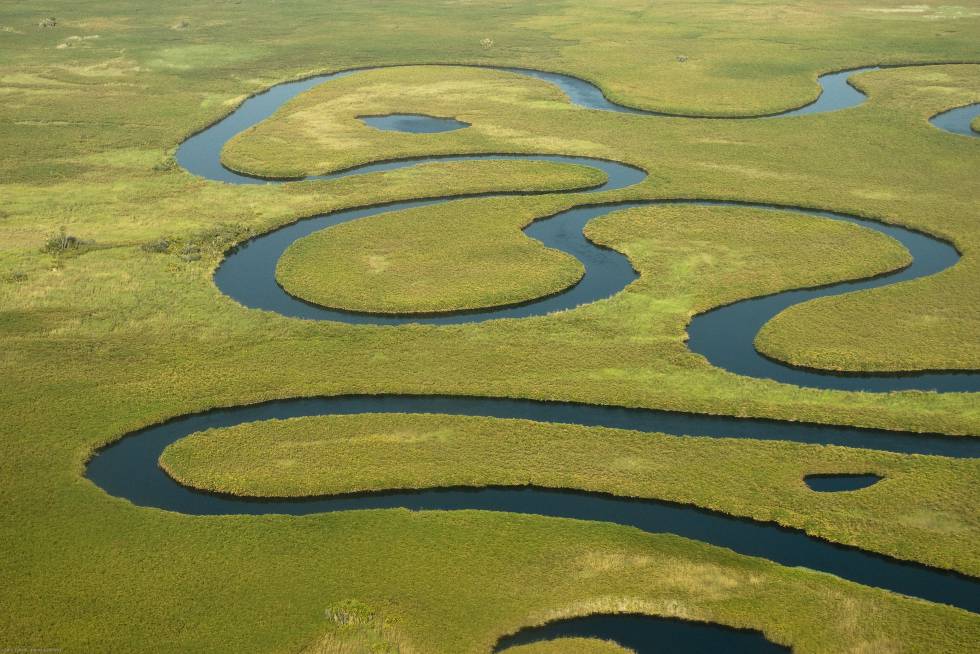 Meandros do Rio Okavango em Botswana.