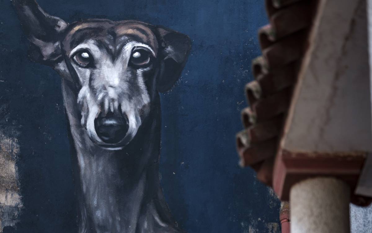 De turrones y grafitis en Lleida