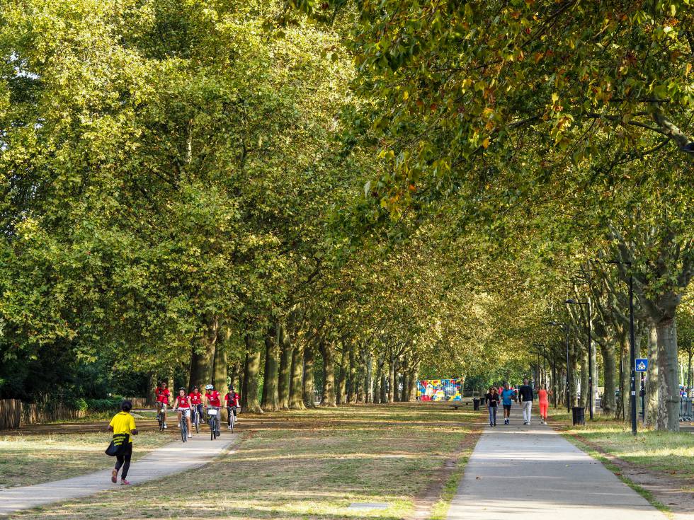 Varias personas hacen ejercicio en el parc aux Angeliques.