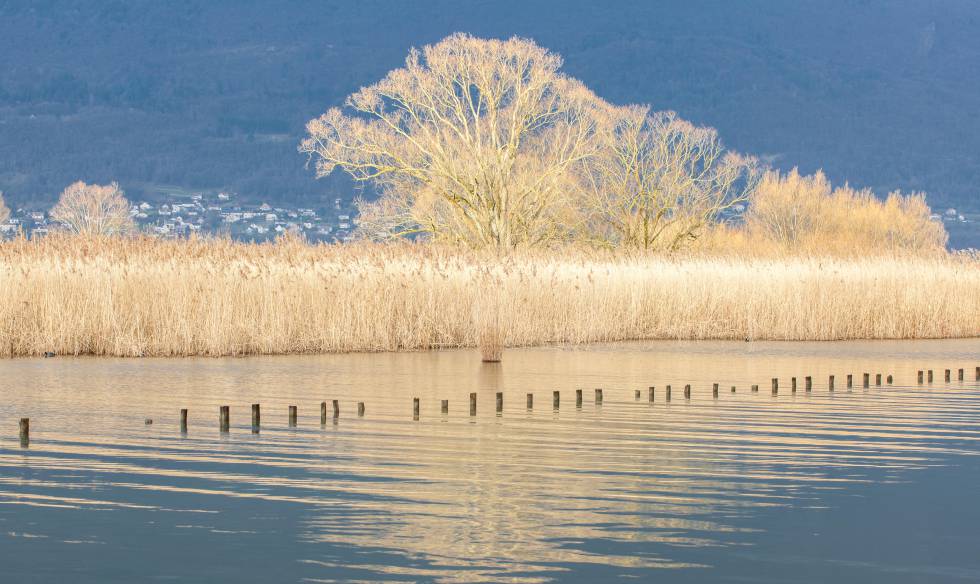 El lago de Bourget, a la altura de la localidad de Aix-les-Bains, en el departamento francés de Saboya.