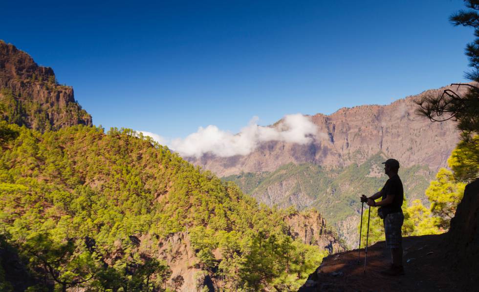 El senderismo es una de las mejores opciones para conocer todos los rincones de Canarias. Existen circuitos y rutas para todos los públicos.