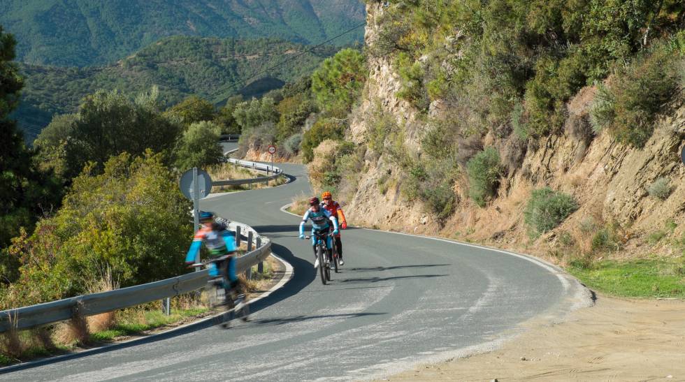 Varios ciclistas en la carretera camino de Istán.
