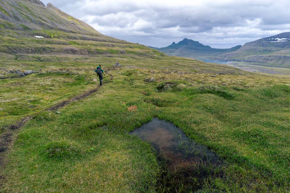 Senderismo en la reserva natural de Hornstrandir, en la región islandesa de los fiordos del oeste.