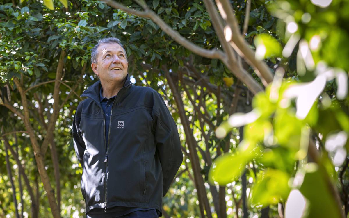 Así es la Todolí Citrus Fundació, un cítrico vergel valenciano