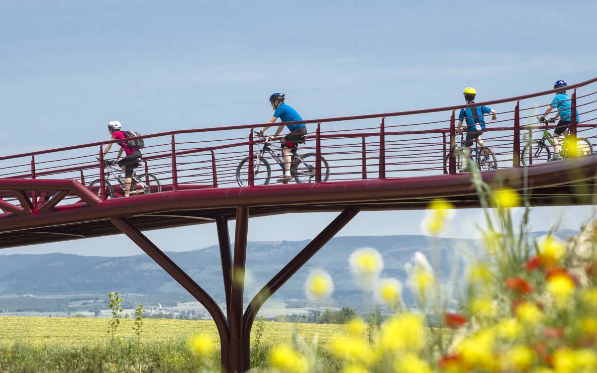 Las jefas de El Trenico, un tren de vía estrecha con alma de mujer