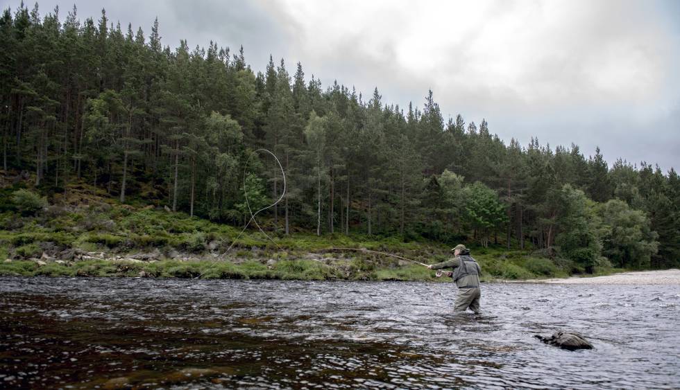 A fisherman in one of the rivers of the Cairngorms National Park (Scotland).