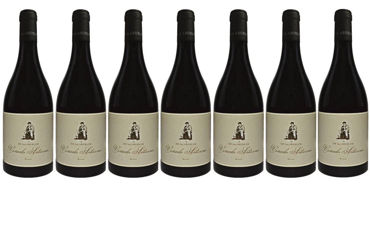 Viñedo Saturno 2020