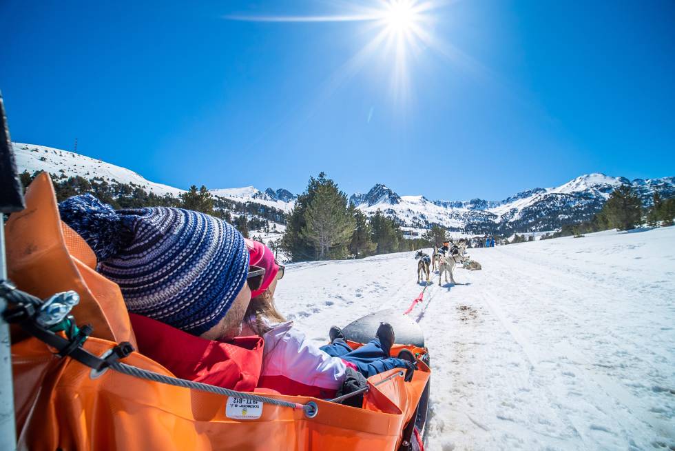 Dog sledding in Grandvalira (Andorra).