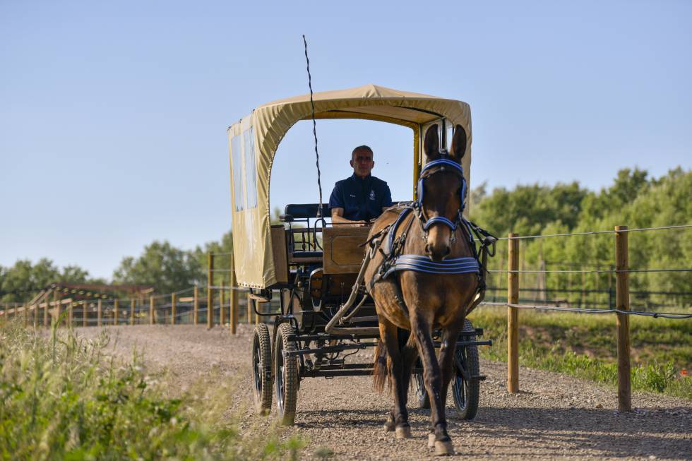 Excursions by mule-drawn cart are one of the options offered by the lodge.