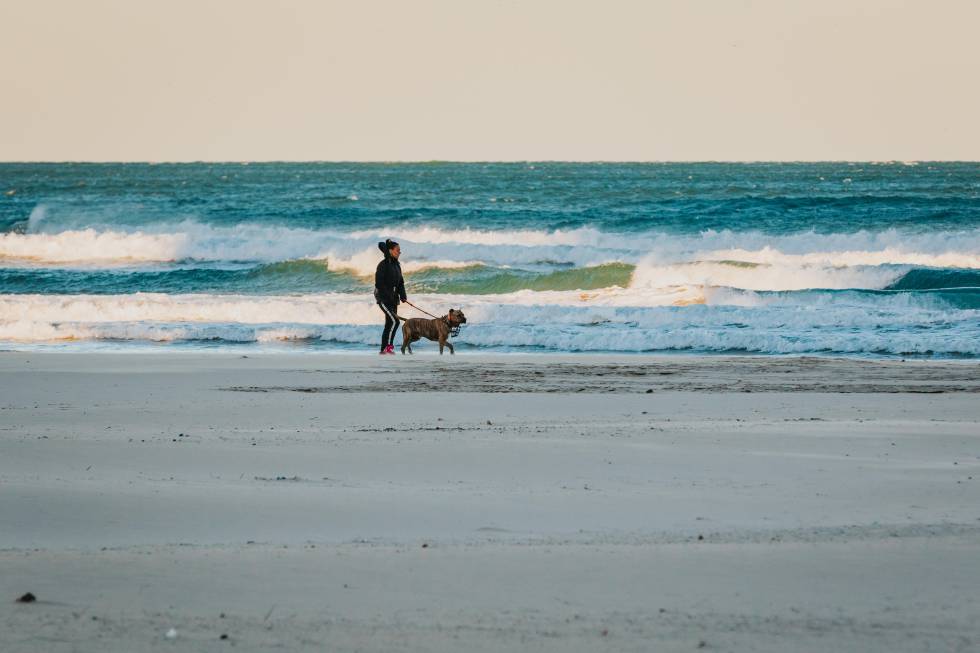 Una mujer paseando con su perro por la playa de Gandia (Valencia).