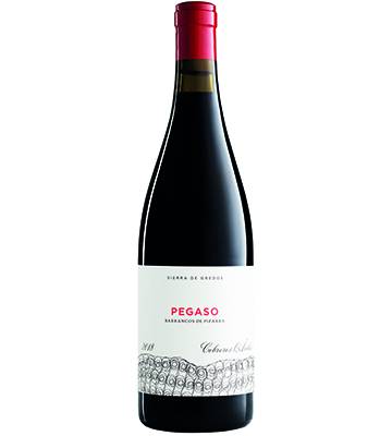 A la busca de buenos vinos de viejas garnachas, el tesoro de Gredos