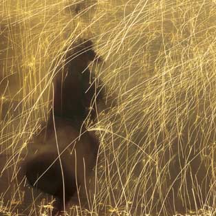 Un año de fiesta en fiesta