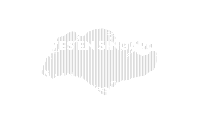 Vives en Singapur