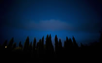 EL BOSQUE DEL RECUERDO