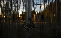 CASA DE MORATA DE TAJUÑA