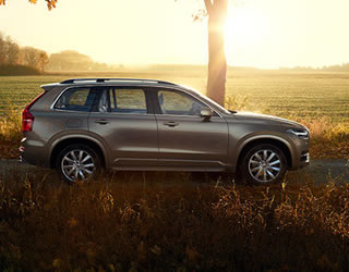 TODOTERRENOS GRANDES