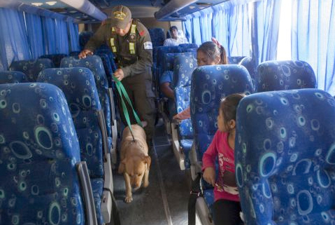 Gendarme argentino controla si hay droga en un autocar