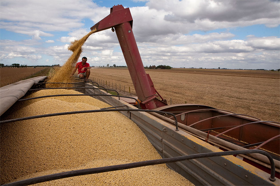 Tren cargado de soja