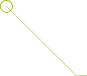 Apunta el abdomen de Gisela