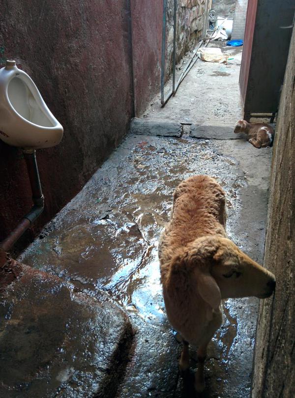 Imagen de un retrete