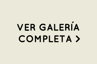 Ver toda la fotogalería