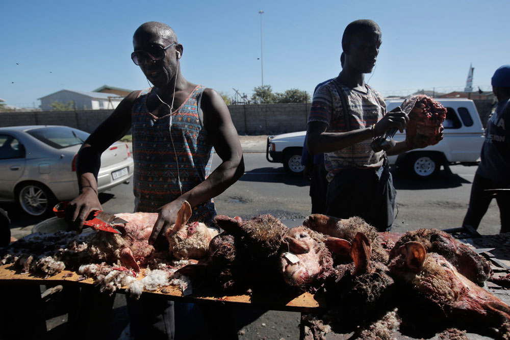 Preparación de las cabezas de cordero, uno de los almuerzos más vendidos en el poblado de Khayelitsa