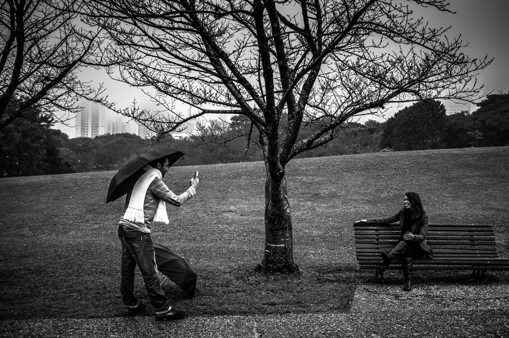 Curitiba ganó, por unanimidad, el premio Globe Award Sustainable City 2010, organizado por el Globe Forum de Suecia, que elige cada año la ciudad más sostenible del mundo. Ese mismo año, la ciudad obtuvo la distinción de metrópoli más verde entre otras 17 de Latinoamérica, según un estudio de la empresa alemana Siemens y la revista británica 'The Economist'