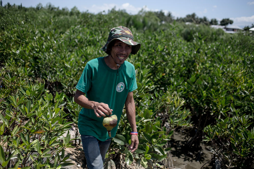 Archie Musa Alfeche, de 29 años, camina entre manglares ubicados cerca de la desembocadura del río Davao